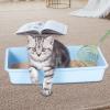 Cat Litter Scoop view 2
