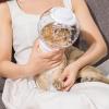Cat Muzzle - Anti-Bite Cat Mask view 4