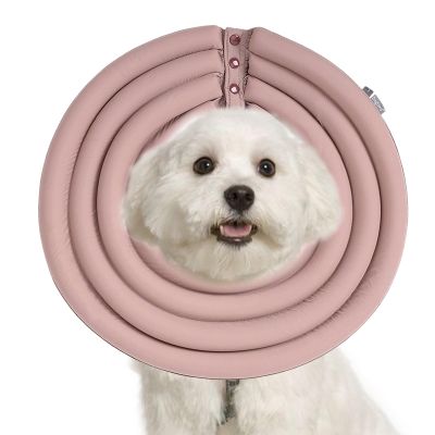 Recovery Cone for Dogs