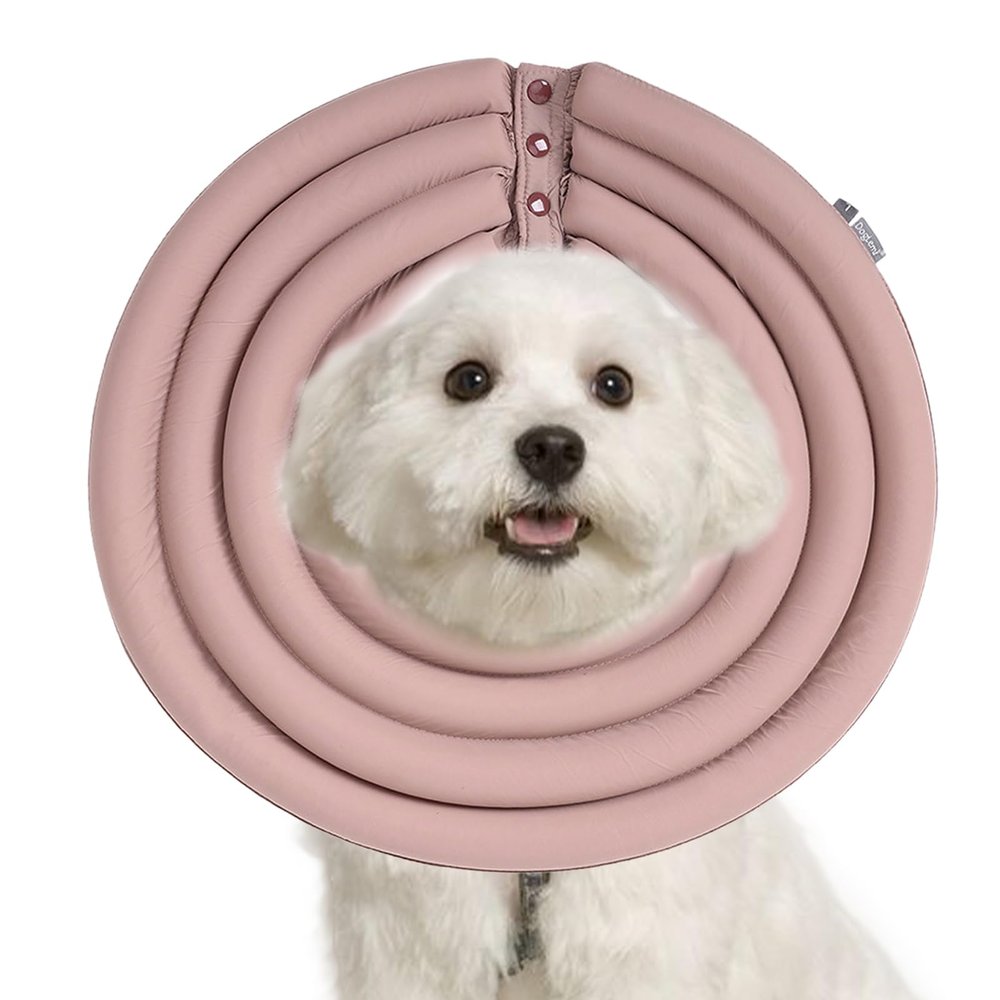 Recovery Cone for Dogs