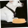 Parliky Anti-Choke Dog Bowl view 4