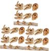 Ciieeo 18-Piece Miniature Animal Skull Statues for Aquariums and Desks view 1