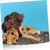 Ciieeo 18-Piece Miniature Animal Skull Statues for Aquariums and Desks view 2