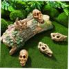 Ciieeo 18-Piece Miniature Animal Skull Statues for Aquariums and Desks view 4