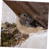 VILLFUL 2-Pack Bird Nesting Material view 4
