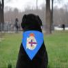 CyP Brands - Pet Bandana, Blue, Official Product view 2