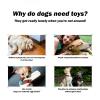 Dog Toy Snake view 4