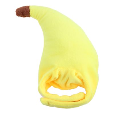 X-Institute Funny Pet Headwear