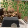 Milisten Reptile Hideout view 4