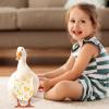 Duck Diapers for Poultry view 2
