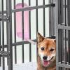 Aznever Water Dispenser for Dogs - Hanging Kennel Bottle view 3