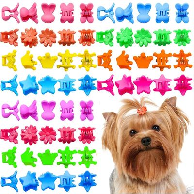 Mix of 100 Dog Hair Accessories