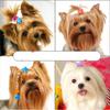 Mix of 100 Dog Hair Accessories view 3
