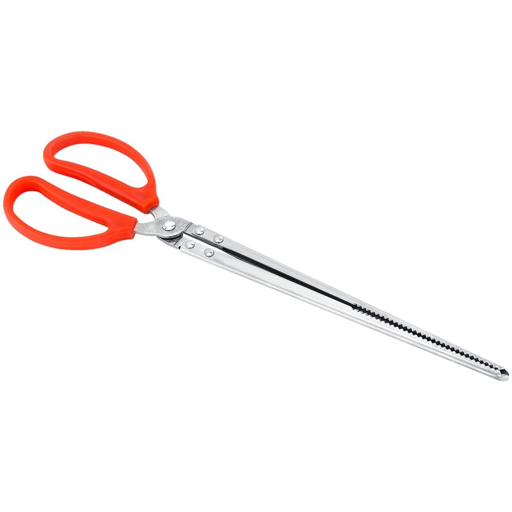 Reptile Feeding Tongs, 15 in, Stainless Steel