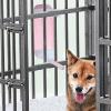 Dog Kennel Water Bottle Dispenser view 3