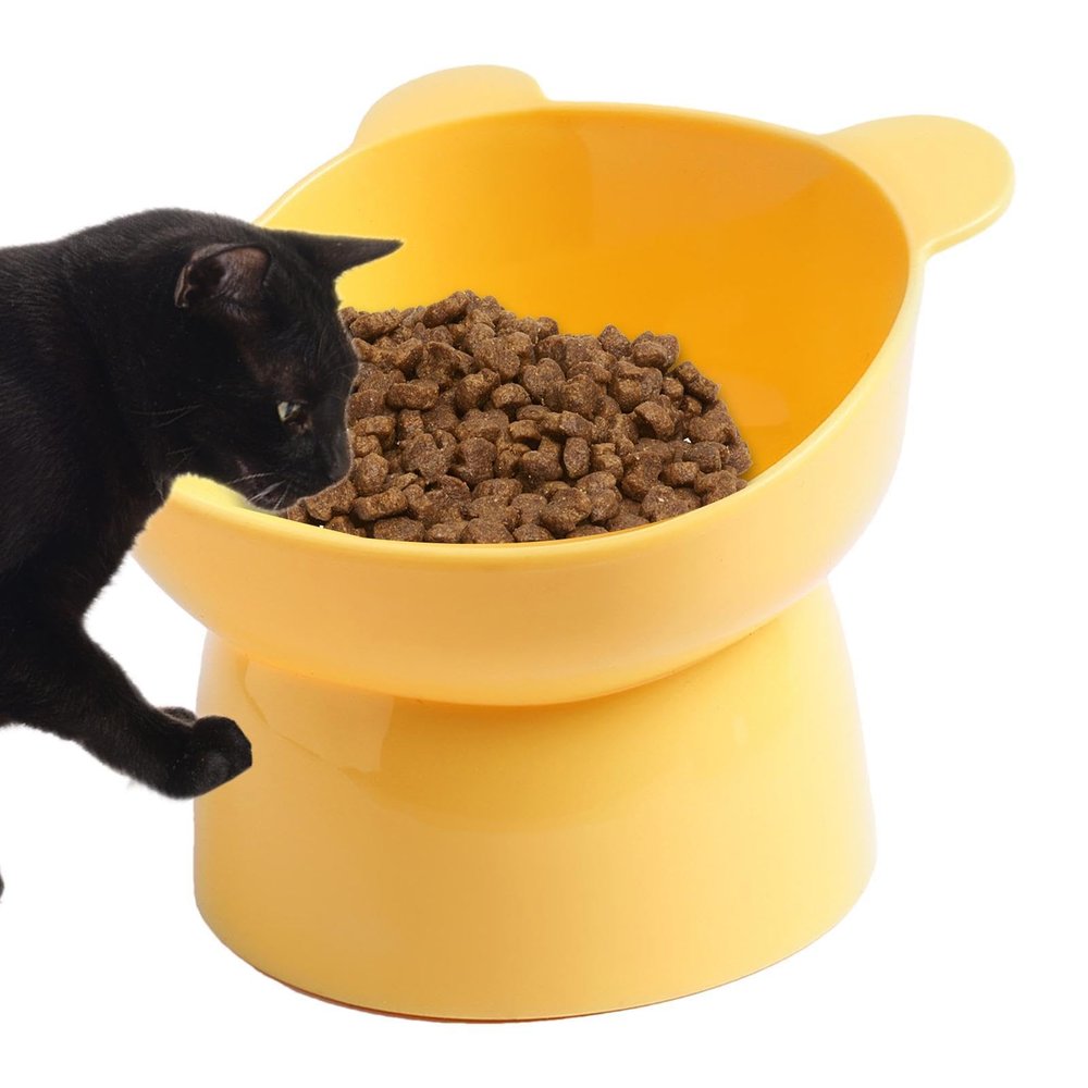 LearnLyrics Elevated Cat Bowl
