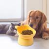 LearnLyrics Elevated Cat Bowl view 4