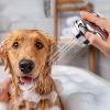 Outdoor Dog Shower Attachment view 2