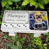 JHB Personalized Memorial Bench and Garden Plaque with Color Photos for Pets view 1
