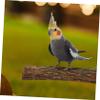 Sosoport Wooden Platform for Birds view 4