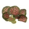 Parliky Artificial Aquarium Plants view 1