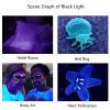Garosa 365 Nm UV Flashlight view 2