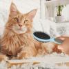 2-in-1 Dog Brush with Pins and Bristles view 2