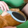 2-in-1 Dog Brush with Pins and Bristles view 3
