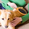 Double Coat Dog Brush | 2-in-1 Brush with Pins and Bristles for Grooming view 2
