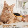 Double Coat Dog Brush | 2-in-1 Brush with Pins and Bristles for Grooming view 3