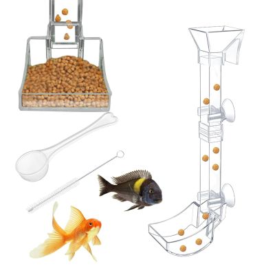 Aquarium Feeding Station for Shrimp and Fish, Transparent
