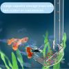 Aquarium Feeding Station for Shrimp and Fish, Transparent view 3
