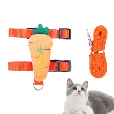 Fukamou Strong Dog Leash Set