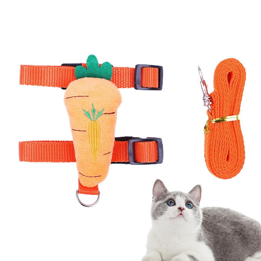 Fukamou Strong Dog Leash Set