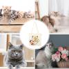 Pet Carrier for Small Dogs and Kittens view 4