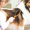 Double-Coat Dog Brush, Shedding Dog Brush - 2-in-1 view 2