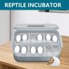 12-Cavity Egg Incubator Tray for Chicken Eggs view 3