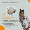 Riding World Sweet Itch Blanket, Gray, 155 cm view 4