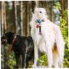 PRETYZOOM Vintage Hiking Pet Bell view 2