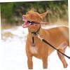 PRETYZOOM Vintage Hiking Pet Bell view 3