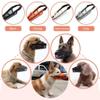 Effective Dog Muzzle for Outings and Bathing, Green, XS view 2