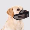Effective Dog Muzzle for Outings and Bathing, Green, XS view 4