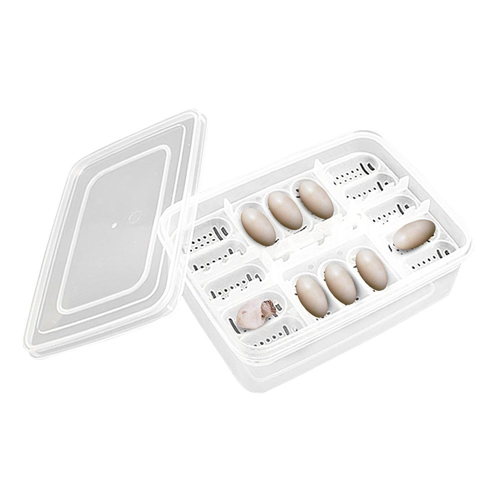 Reptile Hatching Box - Incubator for Reptile Eggs