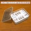 Reptile Hatch Box - Amphibian Incubator Tray view 3