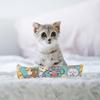 Parliky 6-Piece Catnip Toy Set for Indoor Cats view 4