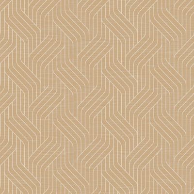Dunisoft Woven ecoecho Napkins 40 x 40 cm, 60 Count, 1-Pack