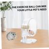 Hamster Wheel with Base, Quiet PVC Running Wheel for Small Animals view 4