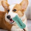 Dog Chew Toy, Puppy Treat Dispenser view 3