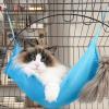 Cat Hammock Bed, Breathable Cat Swing view 3