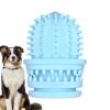 Cactus Chew Toy for Dogs view 1